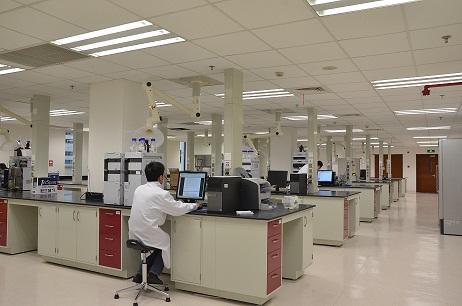 美药典标准研发技术服务(上海)的软件开发岗位 在严谨与创新交汇处打造职业未来